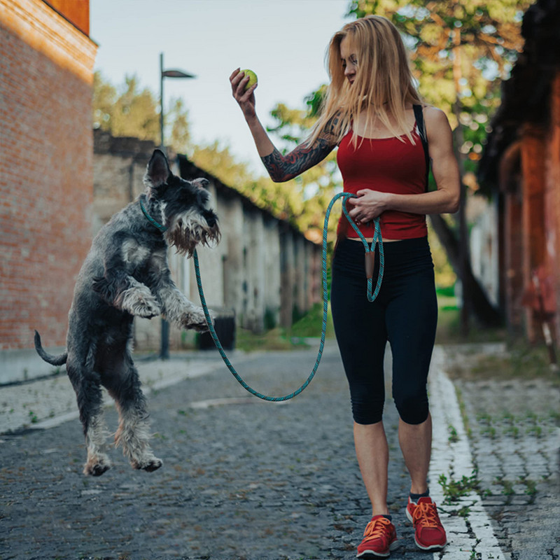 Lesă durabilă pentru câini cu plumb antiderapant, frânghie reglabilă, robustă, pentru câini mari, mijlocii mici, fără tragere, lesă de dresaj pentru animale de companie