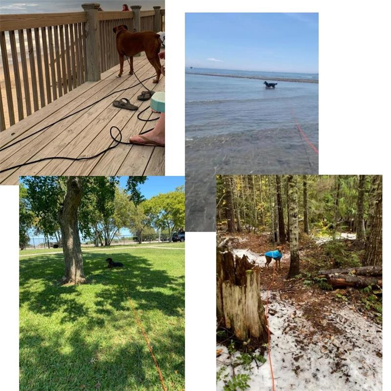 Lesă pentru câini Lesă din nailon pentru câini mici, mijlocii mari, antrenament în aer liber, frânghie rotundă, accesorii pentru câini 5/10/15M