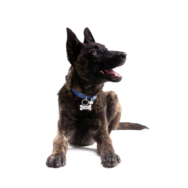 Personalizēta suņa kaķa identifikācijas zīme pret pazaudēšanu mājdzīvnieku vārda birkas Plāksnītes Bezmaksas Gravēšana Suņi Kaķu ID Tag Nosaukuma plāksnīte Kulona kaula forma mājdzīvniekiem