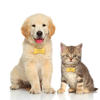 Персонализирано гравирано котка, куче, идентификационен етикет за домашни любимци, куче, нашийник против изгубване, чар, име на домашен любимец, нашийник, кученце, котка, аксесоари за нашийник за кучета