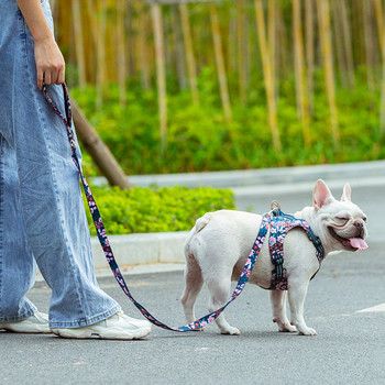 Truelove Floral Pet Leash Neoprene Λαβή Extra Traffic Control Σκύλος και γάτα Αρκετά δυνατά και εύχρηστα Travel TLL3112