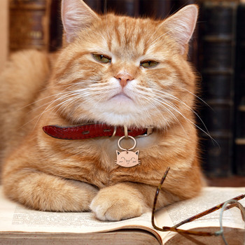 Εξατομικευμένες ετικέτες ταυτότητας κατοικίδιων ζώων Αξεσουάρ γιακά για χαριτωμένο πρόσωπο για γάτα
