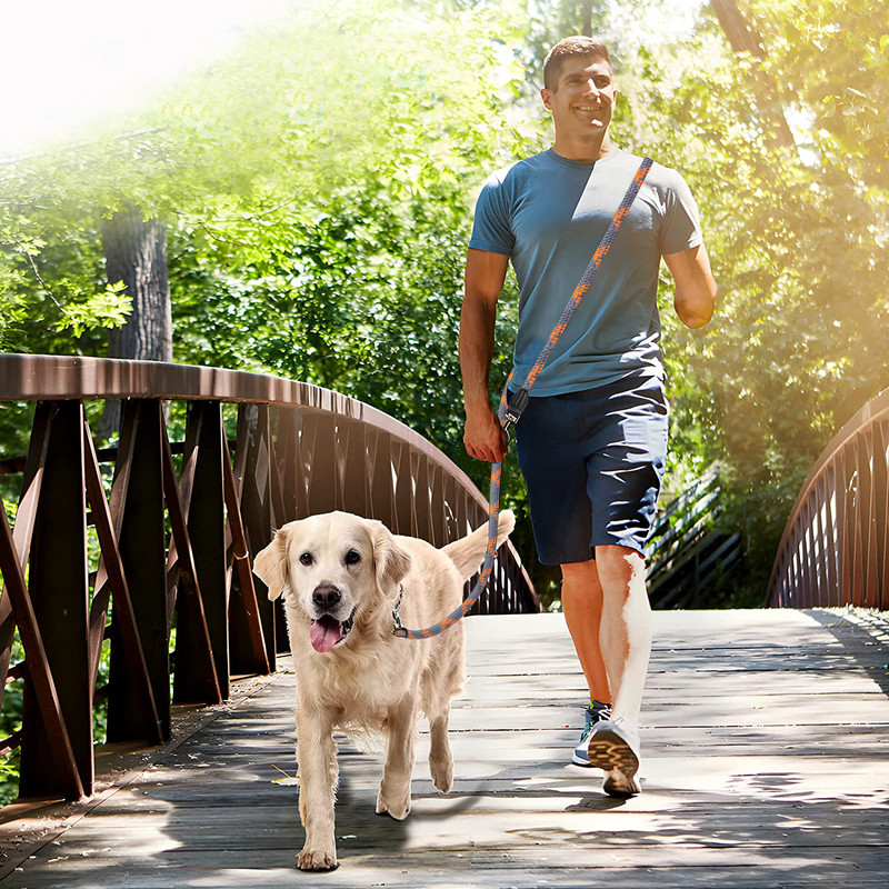 2,6 milj. brīvroku suņu siksna skriešanai, daudzfunkcionālas suņu apmācības pavadas Neilona dubultā pavada kucēniem maziem un lieliem suņiem