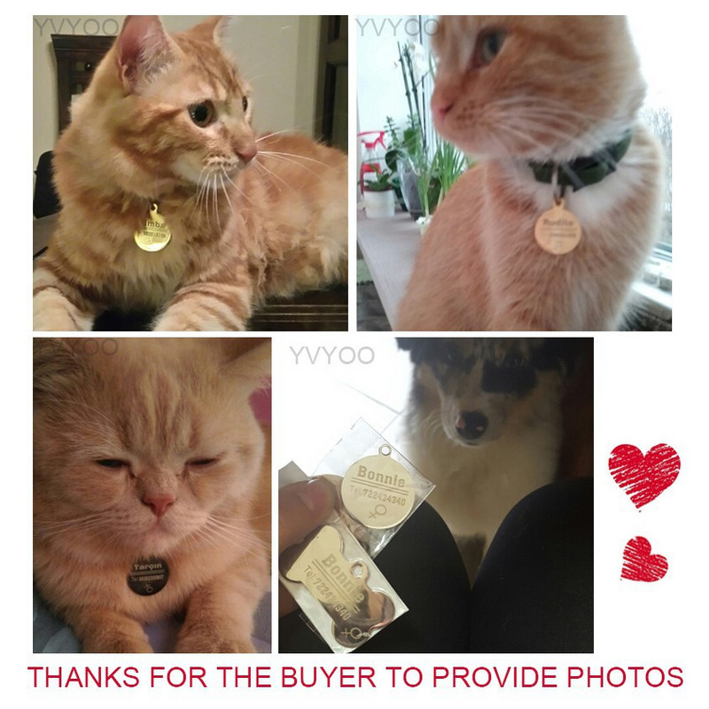 Personalizēta suņa birka no nerūsējošā tērauda nosaukuma, iegravēts ID birkas suņu kakla siksnai, nozaudēšanas novēršanas mājdzīvnieka datu plāksnītes kulons Pitbull labradoram