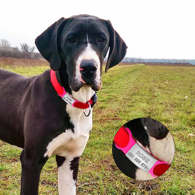 Lemmikloomakoera silt Silikoonist roostevabast terasest isikupärastatud kassi koera ID-silt, graveeritud nimi kassi koera kaelarihm pehme kaotsiminekuvastane lemmiklooma nimesildi sildid