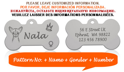 Bone Dog ID Silt Lemmiklooma kaelarihma ripats Isikupärastatud graveeritud koera näonimi kassi kutsikale võtmehoidja võlu kaelakee tarvikud Sugu