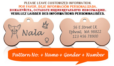 Bone Dog ID Silt Lemmiklooma kaelarihma ripats Isikupärastatud graveeritud koera näonimi kassi kutsikale võtmehoidja võlu kaelakee tarvikud Sugu