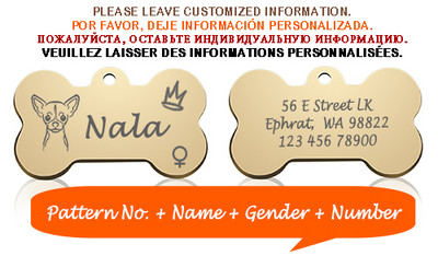 Bone Dog ID Silt Lemmiklooma kaelarihma ripats Isikupärastatud graveeritud koera näonimi kassi kutsikale võtmehoidja võlu kaelakee tarvikud Sugu