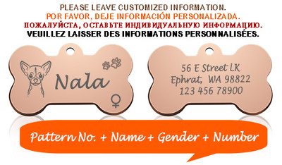 Bone Dog ID Silt Lemmiklooma kaelarihma ripats Isikupärastatud graveeritud koera näonimi kassi kutsikale võtmehoidja võlu kaelakee tarvikud Sugu