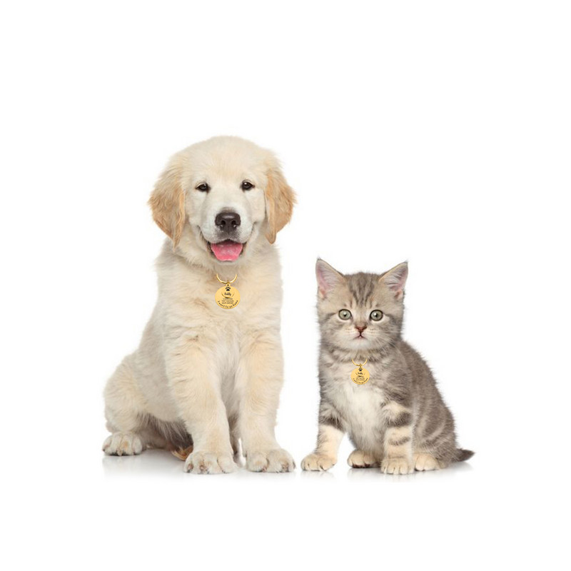 Isikupärastatud koerasildid Graveeritud Kassikutsika Lemmiklooma ID nimi Telefoninumber Kaelarihma silt Ripats Lemmikloomatarvikud Koerte sildi kadumise vastane hulgimüük