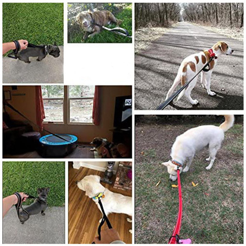 Povodci za pse Putni lanac za pse na otvorenom Povodac za teške uvjete rada s dvostrukom ručkom za veću kontrolu, trening s dvije ručke Oprema za kućne ljubimce