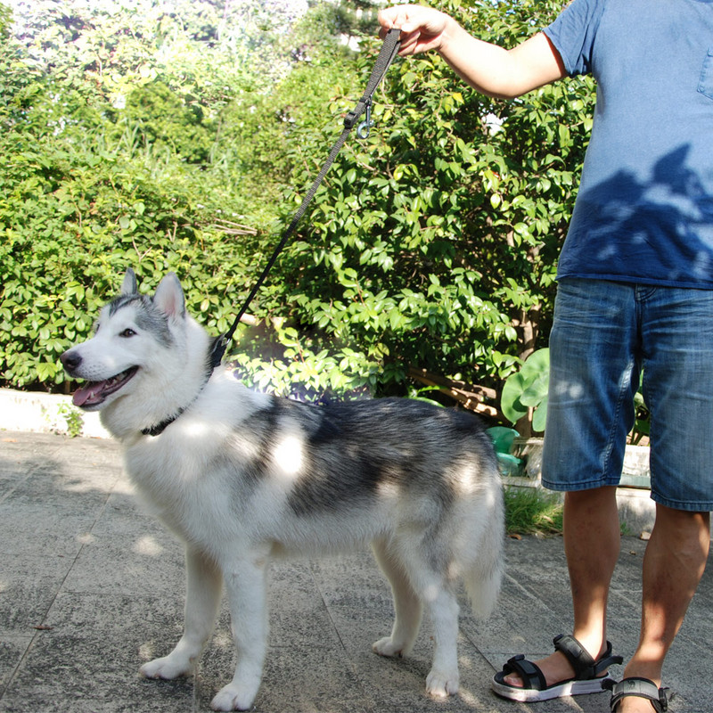 Kassi koerasõiduki auto ohutus Reguleeritav turvavöö jalutusrihm Lemmikloomaauto reisiklambriga rihmaplii Turvavöö Multifunktsionaalne rihm koertele kassidele