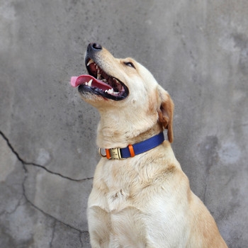 Персонализиран найлонов нашийник за кучета Издръжлива естествена кожа Персонализирани ID нашийници Безплатни гравирани Регулируеми за малки, средни големи кучета