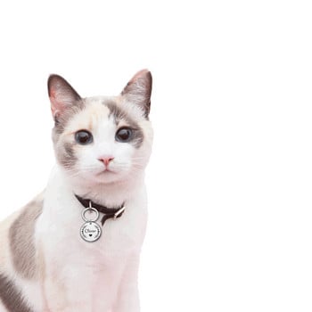 Персонализирано гравиране Етикети с име на котка за домашни любимци Персонализиран етикет за идентификация на куче Аксесоари за нашийник Табелка с име Анти-загубена висулка Метален ключодържател