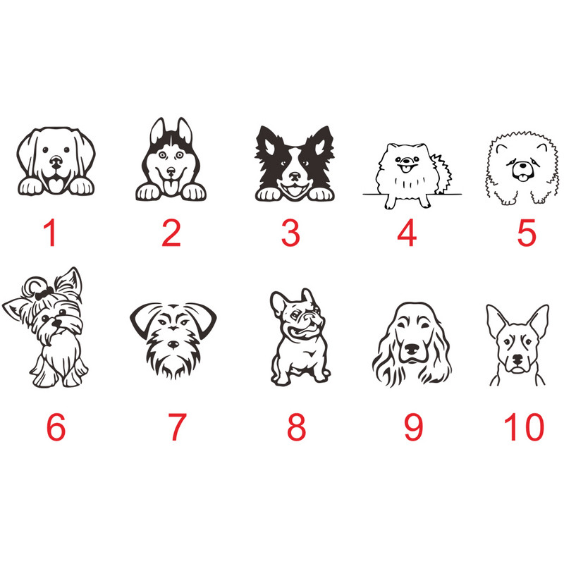 Kohandatud nimi Kadumise vastane ID-silt, graveeritud kirje Tel Nimi Kassikutsikas Isikupärastatud luumedali ripats Koerale lemmiklooma kaelarihma tarvik