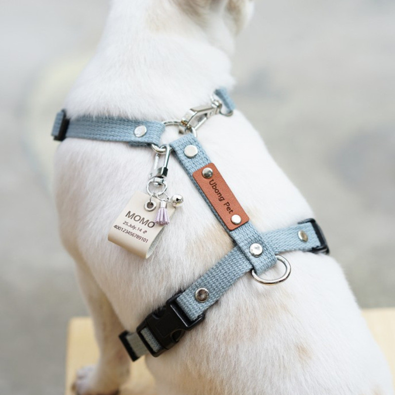 Guler personalizat etichetă de identificare pentru animale de companie, gravată din piele, nume de identificare a animalelor de companie pentru pisică, cățeluș, etichetă de câine, pandantiv breloc, plăcuță de identificare, accesorii pentru animale de compa