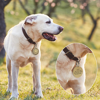 Индивидуален етикет за домашно куче Безплатно гравиране Кучета Котки Табелка с име Аксесоари за нашийник за домашни кучета Аксесоари Висулка за име на домашен любимец от неръждаема стомана