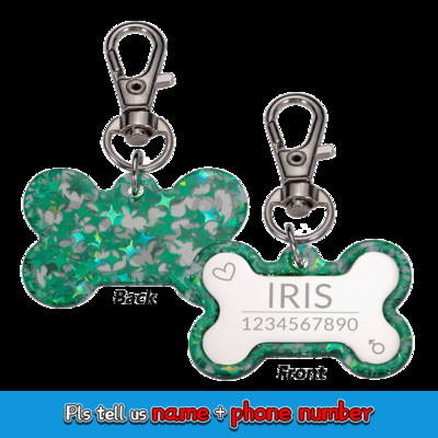 Etichetă de identificare acrilică pentru animale de companie, personalizată, pentru câine, pisică, accesorii pentru zgarda colorate, etichetă cu nume pentru animale de companie, etichete personalizate gratuite pentru gulere