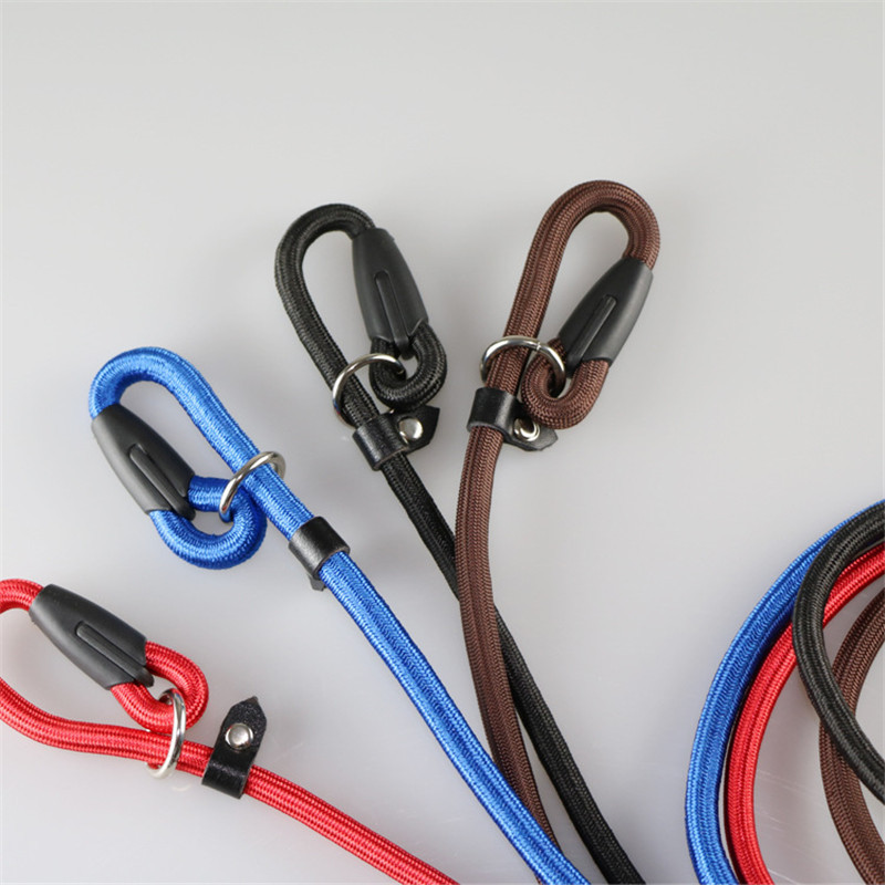 130 cm, nailon, robust, pentru câini de companie, frânghie rotundă, lesă reglabilă pentru zgarda pentru câini de talie mică, pentru dresaj de căței, lanț P, plimbări pentru animale de companie.