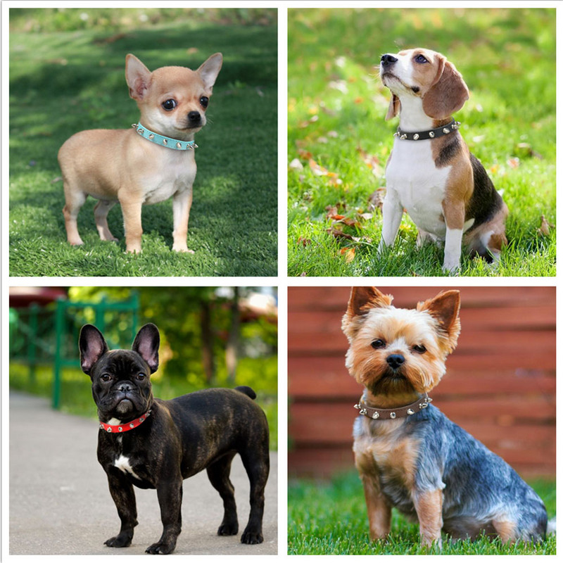 Нашийник за кучета против ухапване С шипове Нашийник за домашни кучета PU кожа за малки кучета Спорт Булдог Мопс Кученце Нашийник за кучета Котка Куче Консумативи