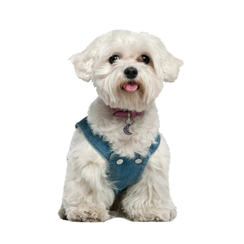 Isikupärastatud kaelarihm Lemmiklooma ID silt Graveeritud lemmiklooma ID nimi telefoninumber kassikutsikale Koerasildi ripats Võtmehoidja Kuu Lemmikloomatarvikud