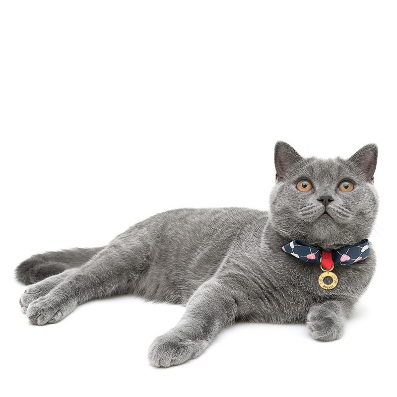 Comerț cu ridicata Anti-pierdere Gravura personalizată Etichete cu nume de pisică pentru animale de companie Pandantiv Etichetă de identificare pentru câine personalizată Accesorii pentru guler Plăcuță de identificare Breloc