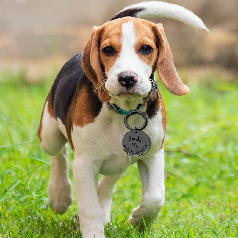 Anti-lost ID oznaka Ogrlica za pse Personalizirana ID oznaka za kućne ljubimce Ugravirana identifikacijska oznaka za kućnog ljubimca Naziv za mačku Štene Oznaka za ogrlicu prilagođenog imena Dodaci za kućne ljubimce