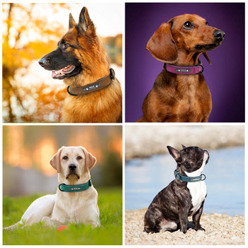 Персонализиран нашийник за кучета Персонализирани кожени нашийници за кучета Вътрешна подплата за ID нашийник за домашни любимци за малки, средни големи кучета Питбул Булдог
