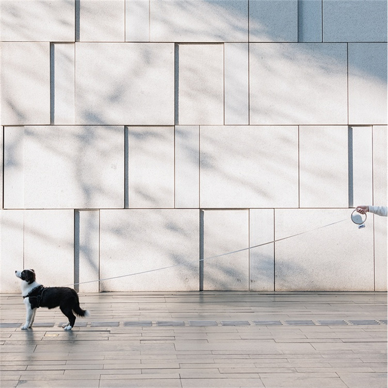 Lesă pentru câini 3m retractabilă automată cu lumină bliț și frânghie de nailon pentru gunoi Mâner anti-alunecare Lesă rotundă reglabilă pentru animale de companie