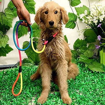 Rainbow Pet Dog Найлоново въже Дресировъчна каишка Плъзгаща се каишка за олово Регулируема теглителна яка