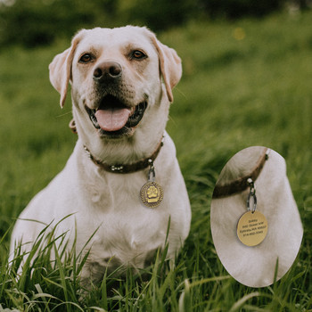 Персонализиран гравиран ID етикет за кучета от неръждаема стомана Етикети с имена на кучета Персонализирана табелка против изгубване Аксесоари за домашни любимци Безплатно гравиране