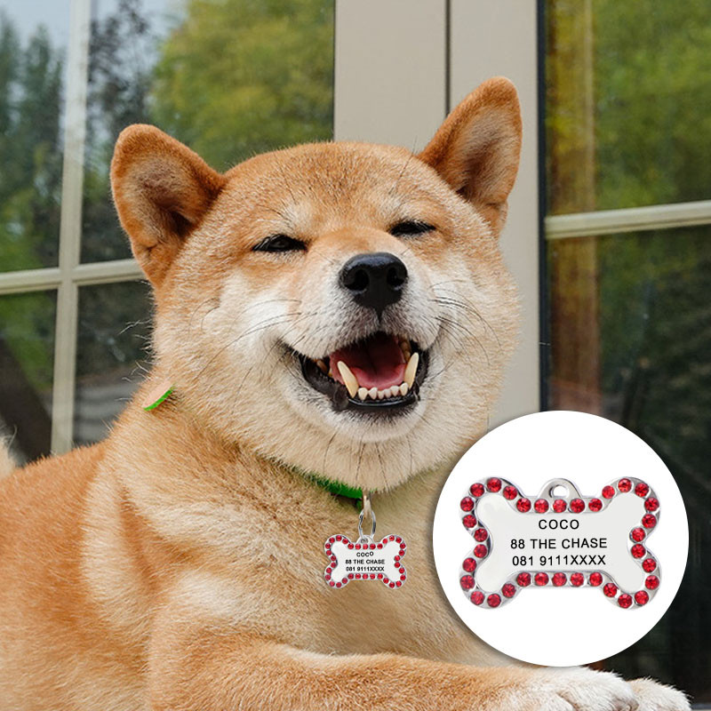 Etichete de identificare personalizate pentru animale de companie gravate cu numele animalului de companie Număr Adresă pisică zgarda câine pandantiv pentru animale de companie cățeluș colier pisică accesorii guler