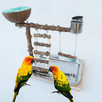 Παιδική χαρά παπαγάλου με δίσκο πουλί Ξύλινη βάση για πέρκα με κύπελλα τροφοδοσίας από ανοξείδωτο ατσάλι Κέλυφος καρύδας κλουβί σκάλα πουλιών Κούνια παιχνίδι πουλιών