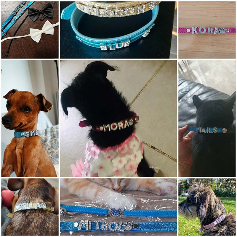Kohandatud koera kassi kaelarihm, isikupärastatud täht nimega Rhinestone kutsikas, väikesed reguleeritavad kaelarihmad Chihuahua Yorkshire`i jaoks