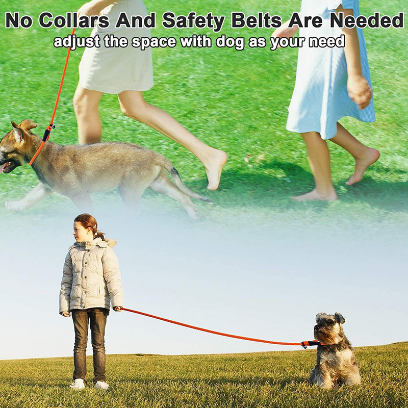 Lesă pentru câini Ham pentru câini din nailon, fără tragere, ajustabil, mediu mare, câini obraznici, vestă, plumb pentru vehicule de siguranță, mers, alergare, guler pentru câini