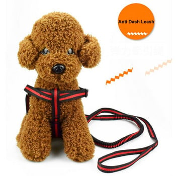 190cm Ελαστικό λουρί σκύλου Pet Cat Puppy Anti Dash Pull Dog Leash Leash Retractable Leash for Rabbit Hamster Small Pets Dropshipping