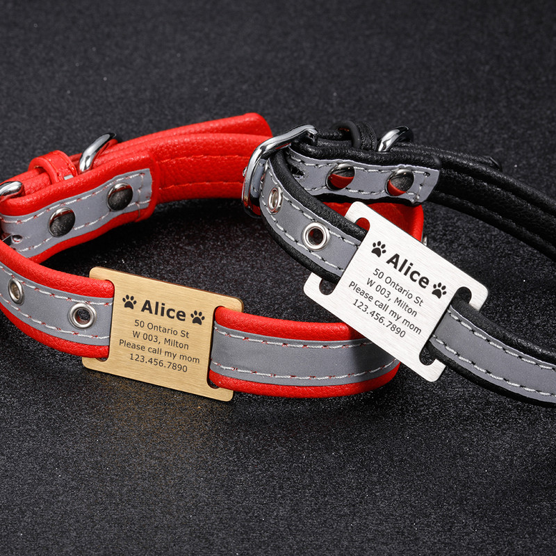 Isikupärastatud lemmiklooma ID silt Lükatav, graveeritud roostevabast terasest nimesildid Kaelarihma tarvikud Ripats Graveerimine Aadressi Koerte Nimesilt