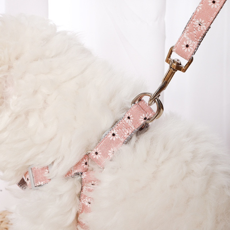 Ρυθμιζόμενο λουρί λουριών λουριών γάτας σκύλου για κουτάβι Μικρό κολάρο σκύλου λουρί πολλαπλών διαστάσεων για υπαίθριες δραστηριότητες