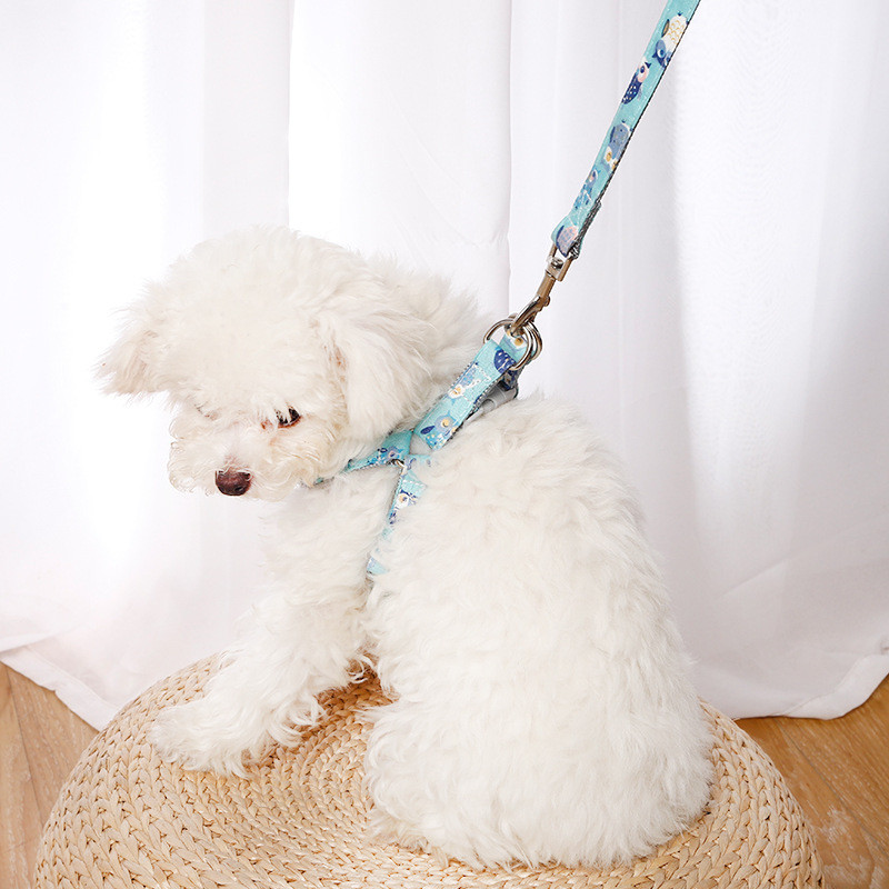 Ρυθμιζόμενο λουρί λουριών λουριών γάτας σκύλου για κουτάβι Μικρό κολάρο σκύλου λουρί πολλαπλών διαστάσεων για υπαίθριες δραστηριότητες