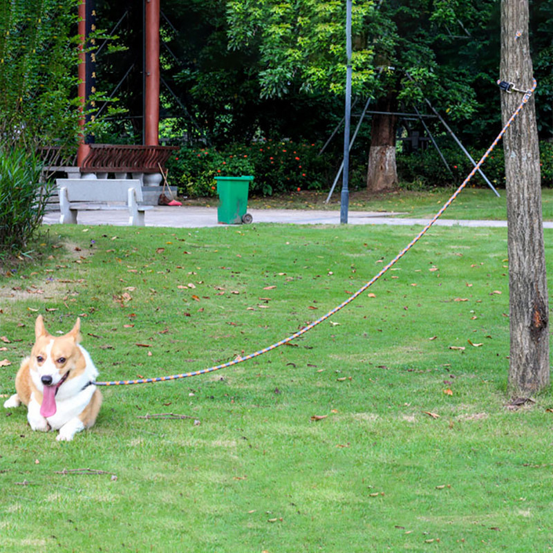 Suņu apmācības pavada, atstarojoša dubultgalva, regulējams mājdzīvnieks vidēji lielām suņu siksnām, kas darbojas brīvās rokās Neilona virvju pastaigu staigāšana mājdzīvniekam