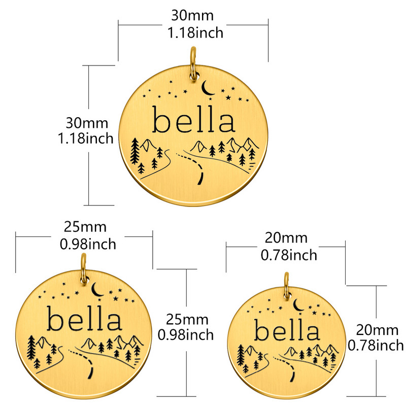 Etichete cu nume personalizate pentru adresă Etichete pentru câini pentru animale de companie Accesorii pentru zgarda pentru pisici Decorare ID-ul pentru animale de companie Etichete pentru câini gulere Etichetă pentru pisici din oțel inoxidabil