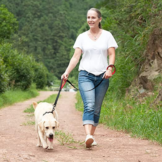 Kahe käepidemega koerarihm Peegeldav polsterdatud koerarihm Raske tööjõuga juhtnöör väikestele suurtele koertele Õues Treenimiseks Jooksurihm