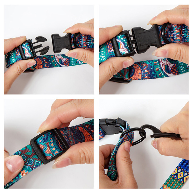 Bohēmijas stila suņu kaklasiksnas un pavadas komplekts maziem vidēji lieliem suņiem Regulējamas kucēnu kaķu pastaigu kaklasiksnas mājdzīvnieku piederumi