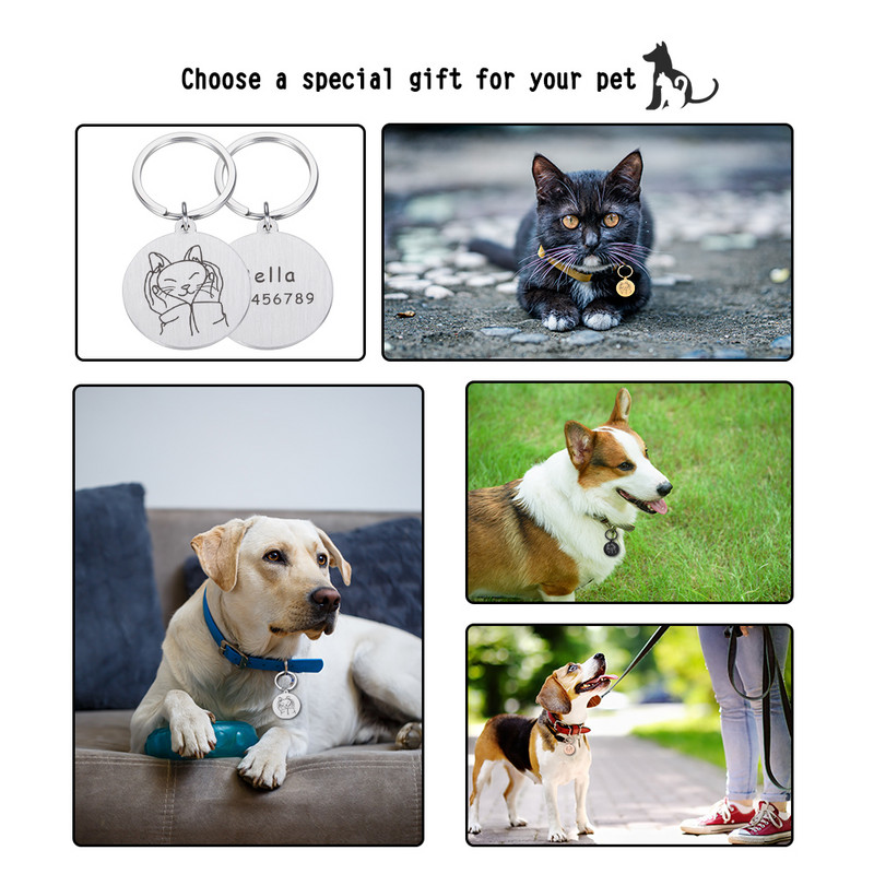 Εξατομικευμένη χάραξη Προσδιορισμός ετικέτας ταυτότητας σκύλου κατά της απώλειας Προσαρμοσμένο όνομα πιάτου για κατοικίδιο Κουτάβι Κολάρο γάτας Στρογγυλές ετικέτες Προμήθειες για κατοικίδια