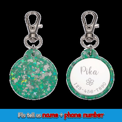 Etichetă de identificare acrilică pentru animale de companie personalizată gratuită, personalizată pentru câine, pisică, guler colorat, accesorii anti-pierdere, etichetă cu nume pentru animale de companie, etichete de identificare pentru animale de compani