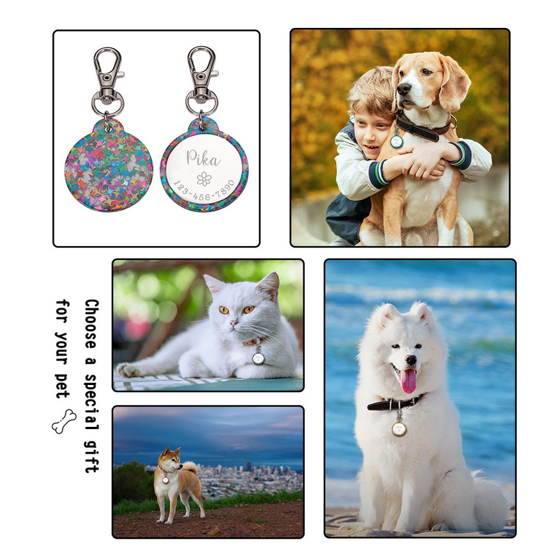 Etichetă de identificare acrilică pentru animale de companie personalizată gratuită, personalizată pentru câine, pisică, guler colorat, accesorii anti-pierdere, etichetă cu nume pentru animale de companie, etichete de identificare pentru animale de compani
