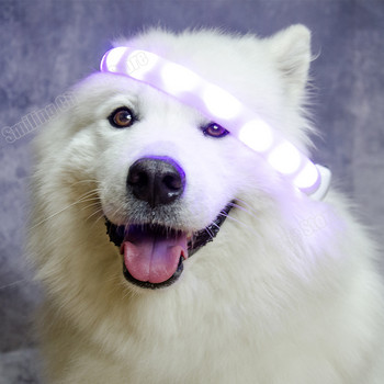 USB акумулаторна LED светеща яка за домашни кучета Светеща мигаща огърлица за домашни любимци Куче за разходка на открито Нощна предпазна яка Регулируема