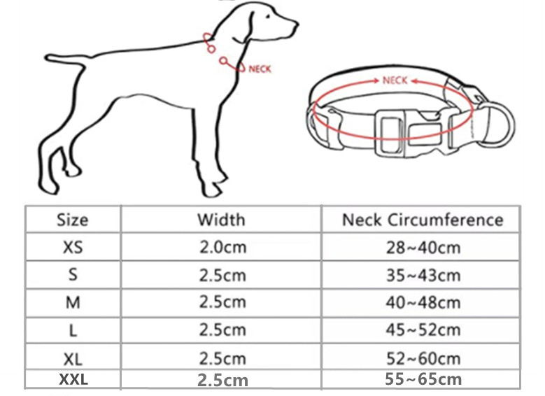 USB įkraunamas naminių šunų LED šviečiantis antkaklis šviečiantis mirksintis karoliai lauke pasivaikščiojimo nakties saugos reikmenys