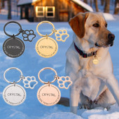 Προσαρμοσμένη ταυτότητα για κολάρο γάτας για κατοικίδια Ετικέτες διεύθυνσης για σκύλους Αξεσουάρ κατοικίδιων ζώων Εξατομικευμένο κολιέ για κουτάβι γατάκι με όνομα πιάτο για σκύλους