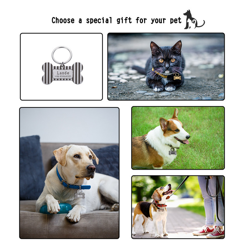 STVK Stripe Etichetă pentru animale de companie Pisică Guler pentru câini Accesorii farfurie personalizate Medalie Personalizată Pisicuță Număr Cățeluș Număr Gravat Scriere Câine